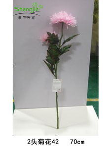 2头菊花42   70cm