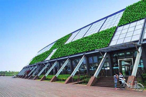 街道仿真植物墙