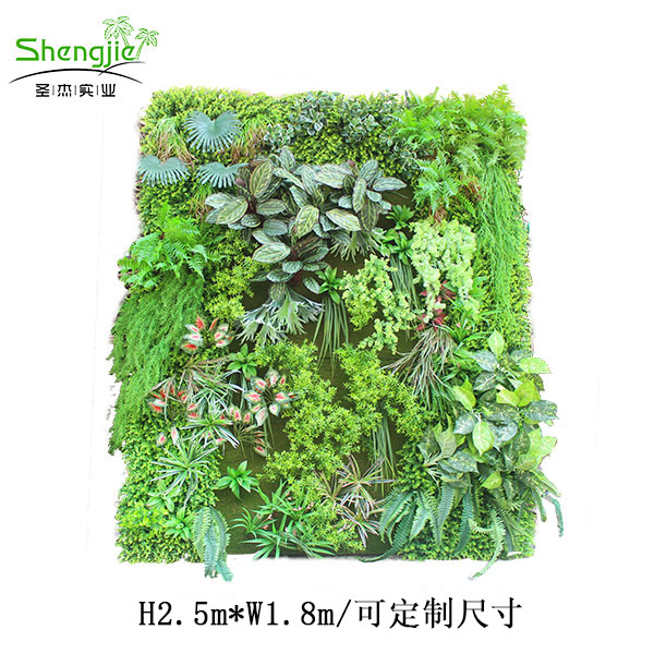 植物墙 4