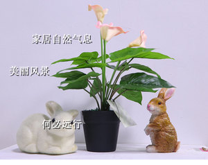 仿真马蹄莲盆栽