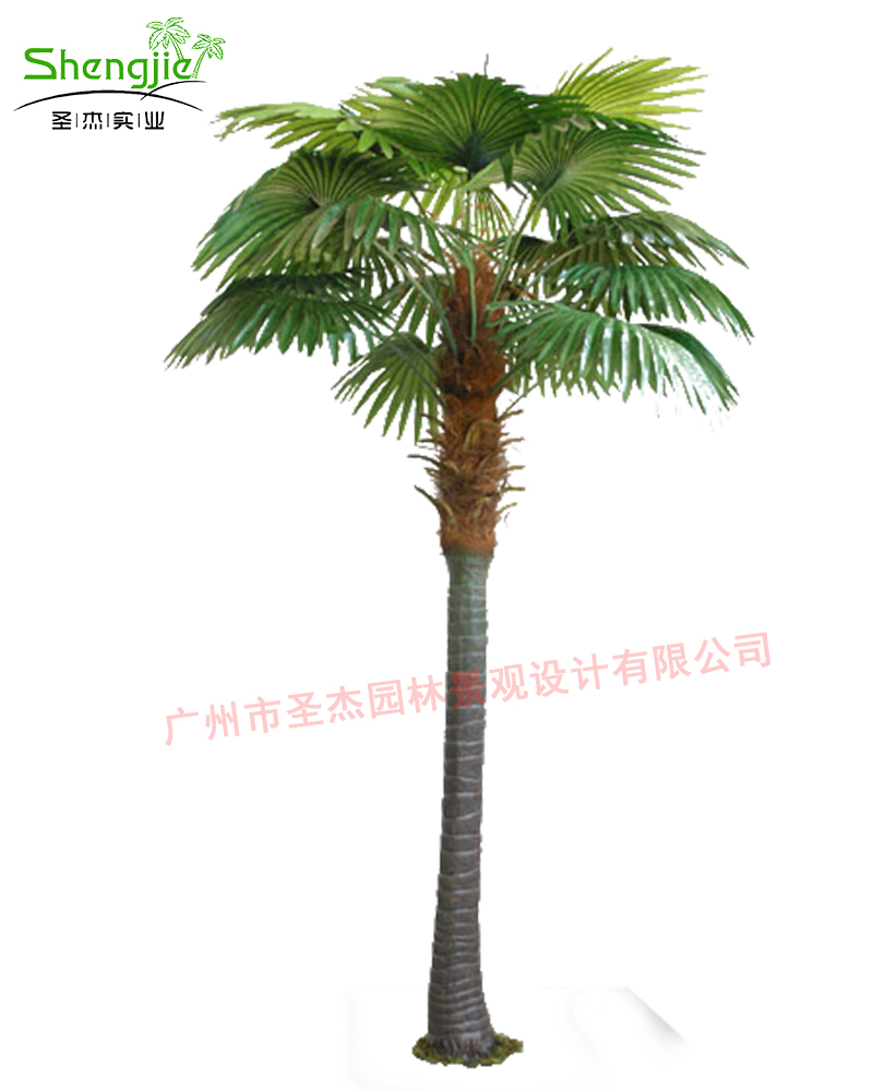 仿真扇葵蒲葵