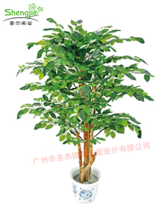 pe榕树 120cm