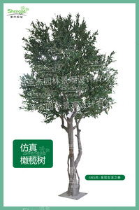 仿真橄榄树装饰