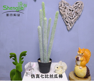 仿真七比丝瓜棒盆栽