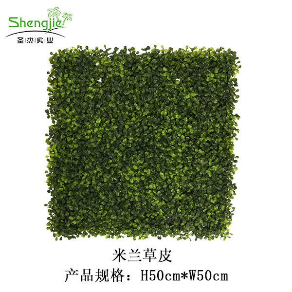 仿真植物米兰草皮