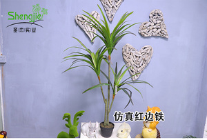 仿真红边铁盆栽