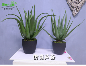 仿真芦荟盆栽