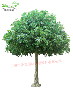 高仿真造景福禄桐树