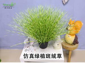 仿真绿植斑绒草盆栽