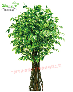pe榕树 170cm