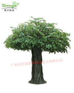 高仿真福禄桐树