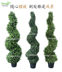 新款绿植盆栽