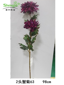 2头蟹菊63    98cm
