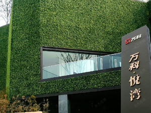 仿真米兰草植物墙