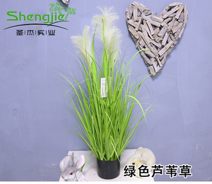 仿真芦苇草盆栽