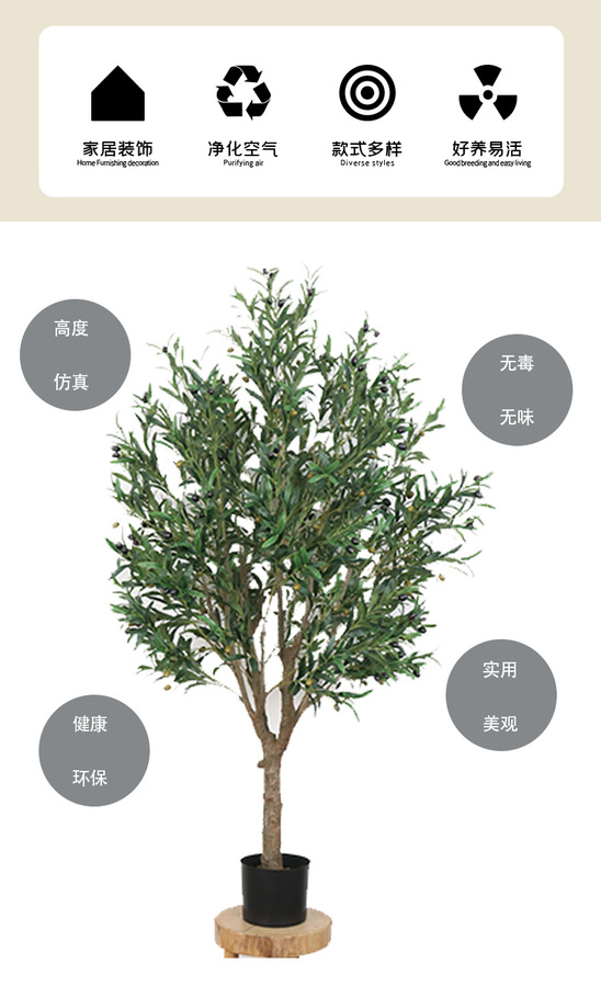 橄榄树_02.jpg