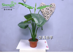 仿真仙芋盆栽